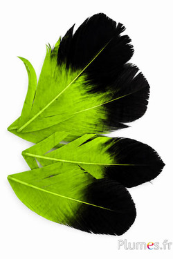 Petalo in piume - 11-15 x 5-6 cm - lime-nero